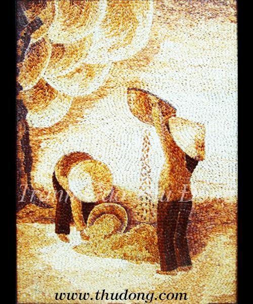 Vietnamese Countryside